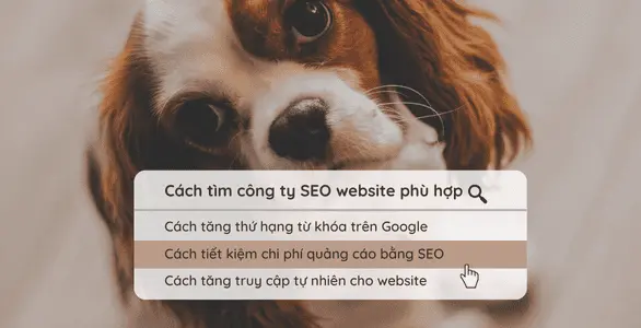 Công ty SEO