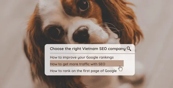 Vietnam SEO company