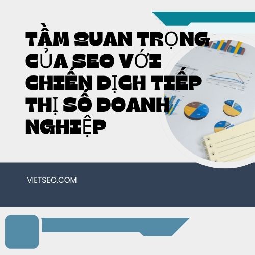 Tầm Quan Trọng Của SEO Với Chiến Dịch Tiếp Thị Số Doanh Nghiệp | Việt SEO