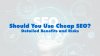 Should You Use Cheap SEO Website Services?