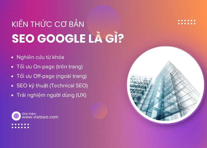 Google SEO Là Gì? Tương Lai & Toàn Cảnh Thị Trường SEO Google Tại TP.HCM