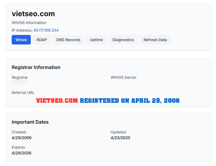Viet SEO and the Domain Name Copycat Problem