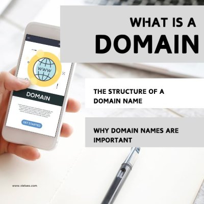 Opportunity to Buy Domains and Make Money from Domains | Viet SEO