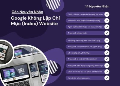 Các Nguyên Nhân Google Không Lập Chỉ Mục (Index) Website