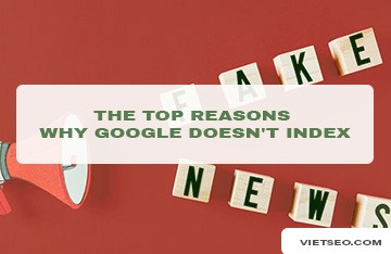 The reason the website is not indexed by Google
