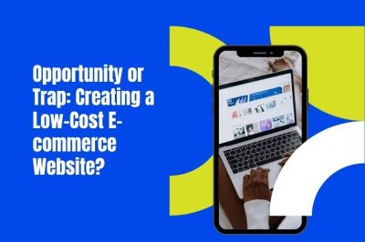 Opportunity or Trap: Creating a Low-Cost E-commerce Website?