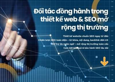 SEO Việt Nam: Giải pháp tối ưu chi phí & hiệu quả cho doanh nghiệp toàn cầu