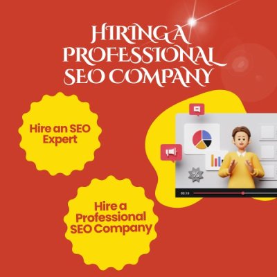 Should You Hire an SEO Expert or a Professional SEO Agency? | Viet SEO