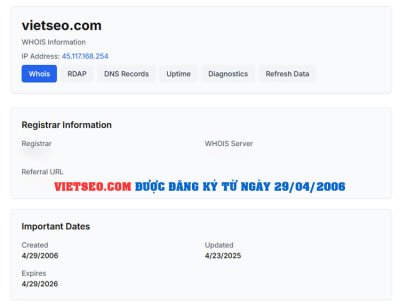 Công ty Việt SEO và vấn nạn mua nhái tên miền: Câu chuyện cảnh tỉnh doanh nghiệp