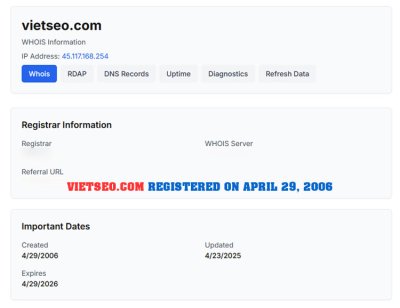 Viet SEO and the Domain Name Copycat Problem