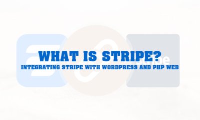 What is Stripe? Installing Stripe on WordPress and Custom-Coded Websites
