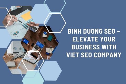 SEO services and digital marketing strategy for businesses in Binh Duong