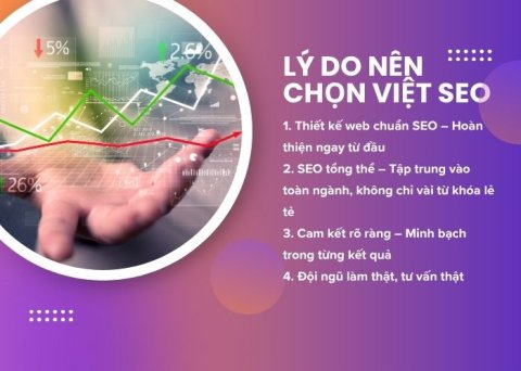 Lý do nên chọn Việt SEO