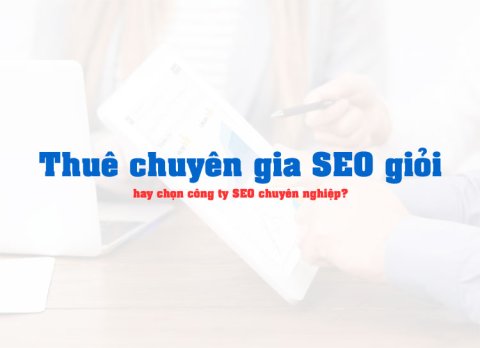 Nên Thuê Chuyên Gia SEO Hay Công Ty SEO Chuyên Nghiệp?