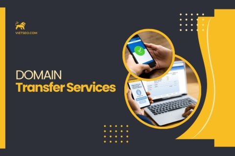 Process of transferring a domain name between registrars