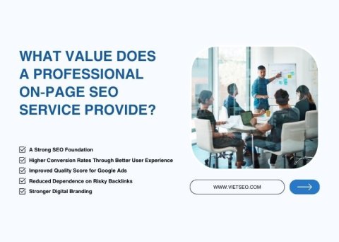 Professional On-Page SEO Service Provide