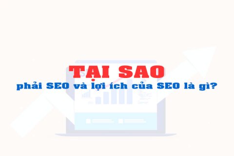 Tại sao phải SEO và lợi ích của SEO là gì?