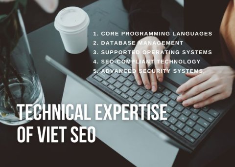 Technical Expertise of Viet SEO