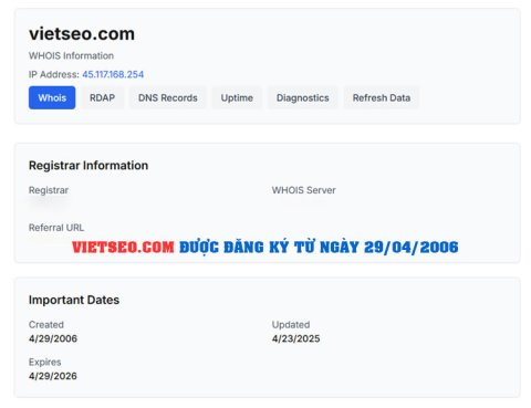 Việt SEO và Vấn Nạn Nhái Tên Miền