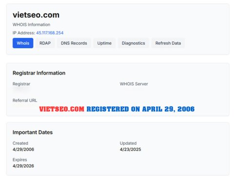 Viet SEO and Domain Name Imitation