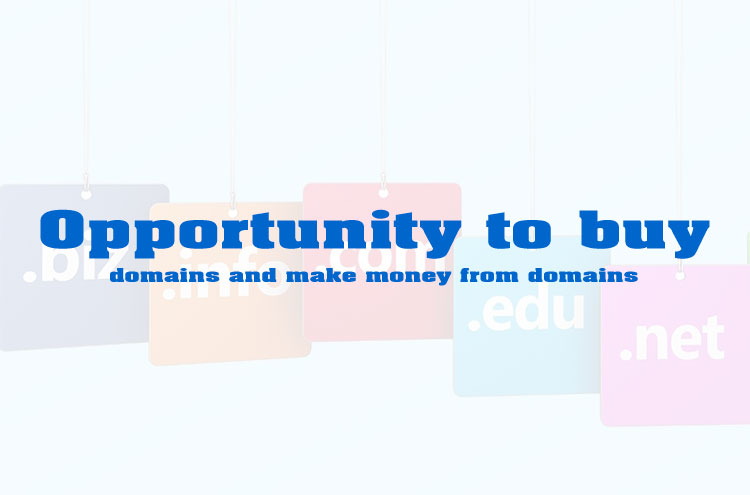 Opportunity to buy domains and make money from domains
