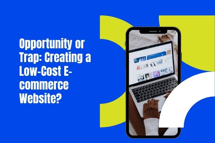 Opportunity or Trap: Creating a Low-Cost E-commerce Website?