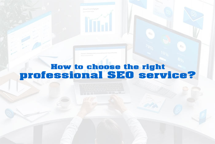 How to choose the right professional SEO service?
