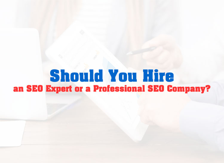 Should You Hire an SEO Expert or a Professional SEO Company?