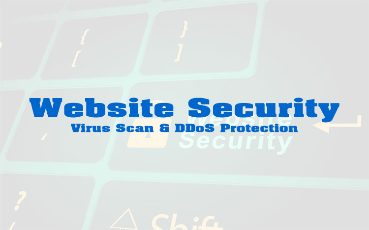 Website security