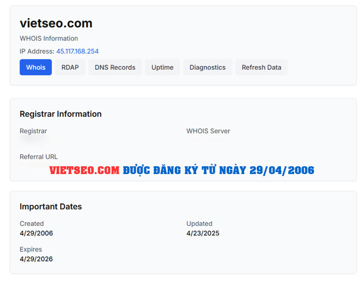 Việt SEO và Vấn Nạn Nhái Tên Miền