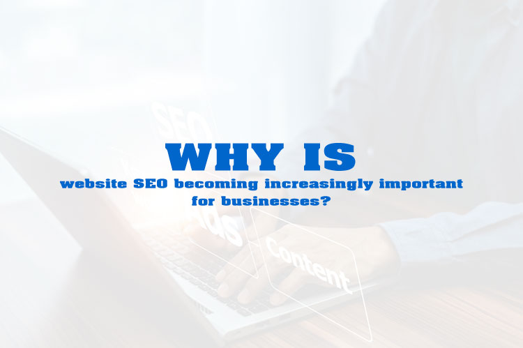 Why is website SEO becoming increasingly important for businesses?