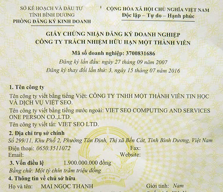 Business license Viet SEO